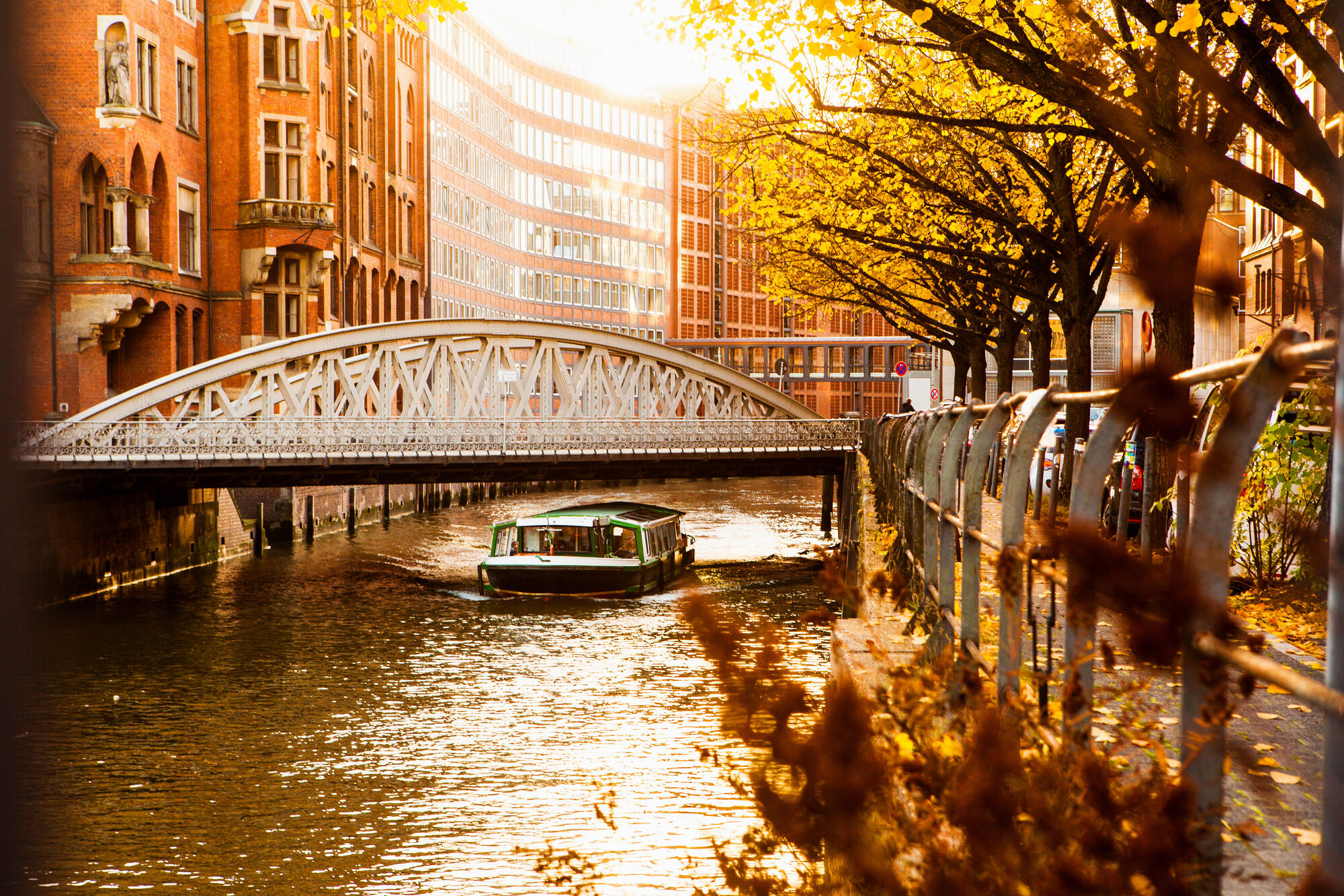 Autumn trees beside a Hamburg canal.