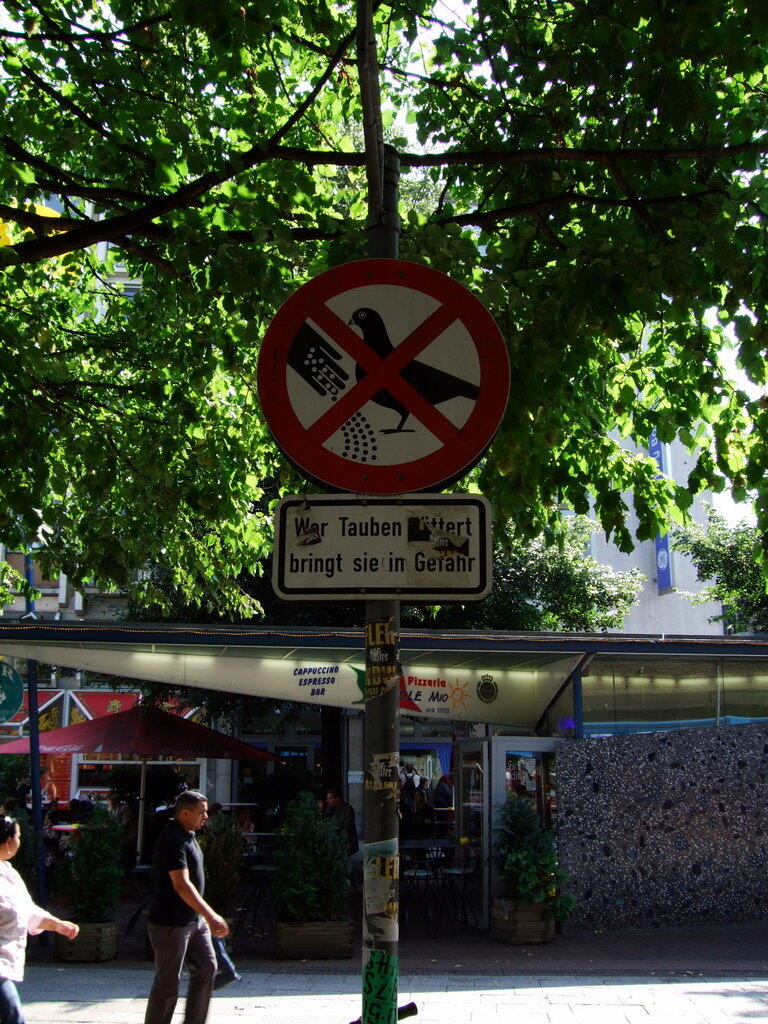 Prohibition sign with a crossed-out pigeon: Feeding pigeons puts them at risk