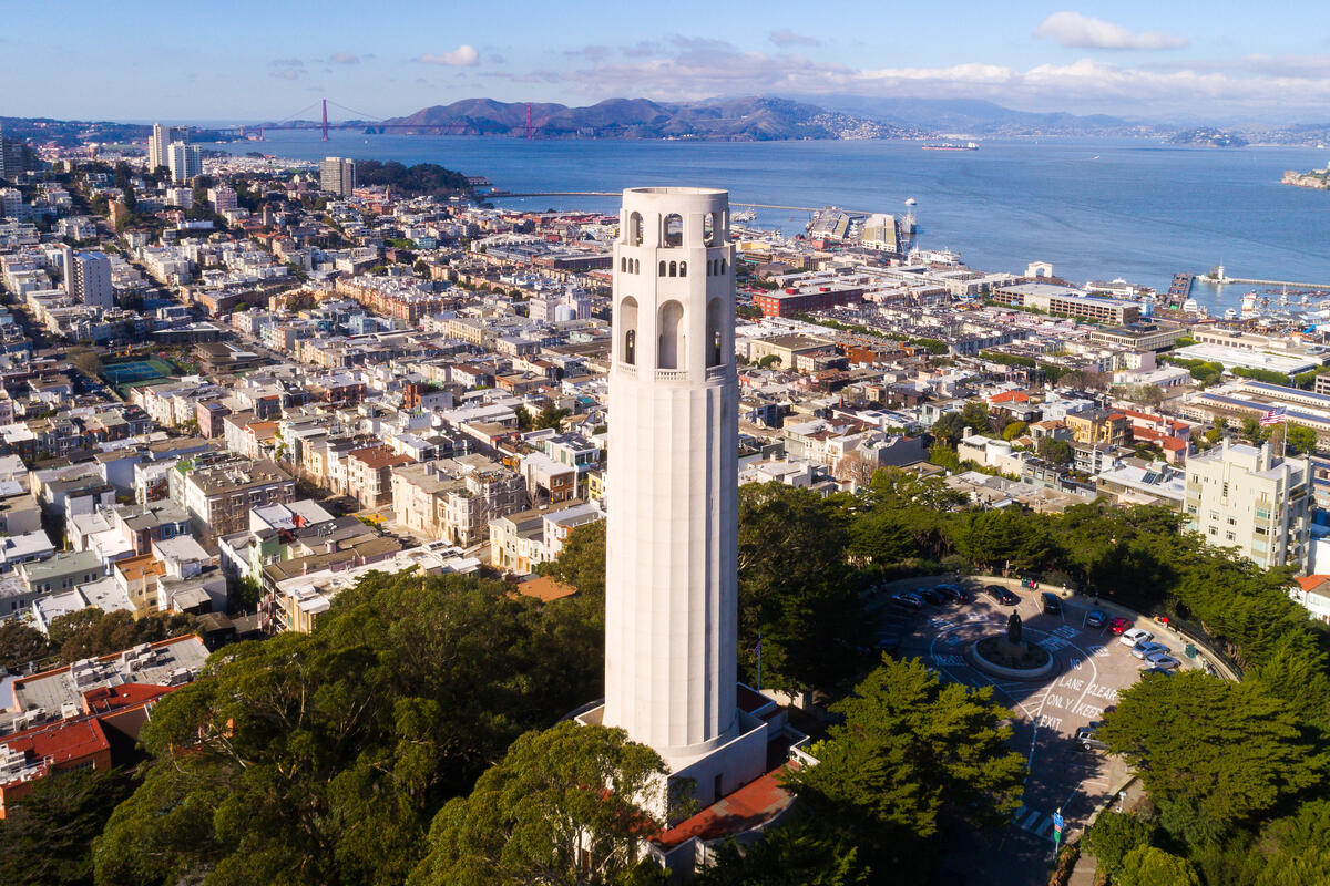 An elevated view of the pale Coit Tower among trees, dense residential streets and the bay.