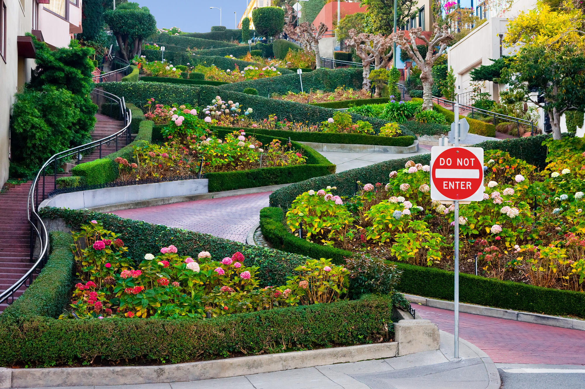 The red-brick bends of Lombard Street wind uphill between hedges, flower beds and homes.