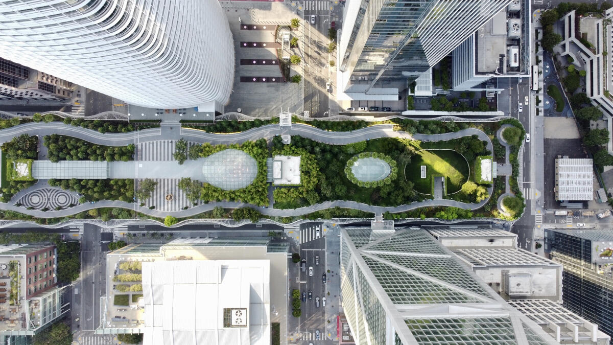 An overhead view of the long rooftop garden, its winding paths, lawns and densely planted beds.