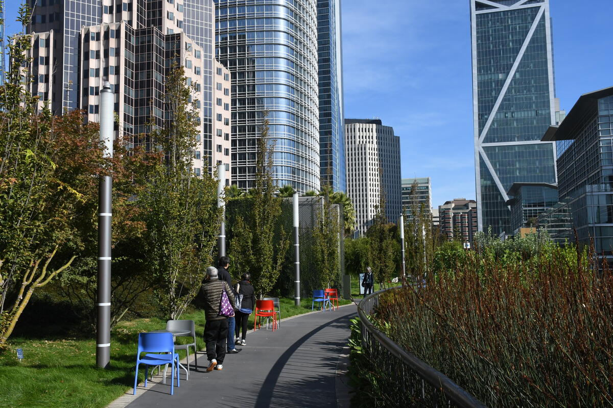 A curving path runs between lawns, trees and seating in the rooftop park, surrounded by high-rises.